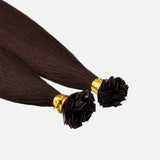 Chocolate Brown (2Q) Flat Tip Hair Extensions (50g - 100g)